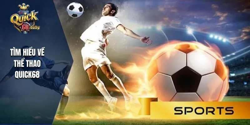 Khám phá thể thao QUICK68